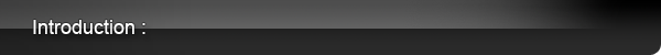 introduction.png